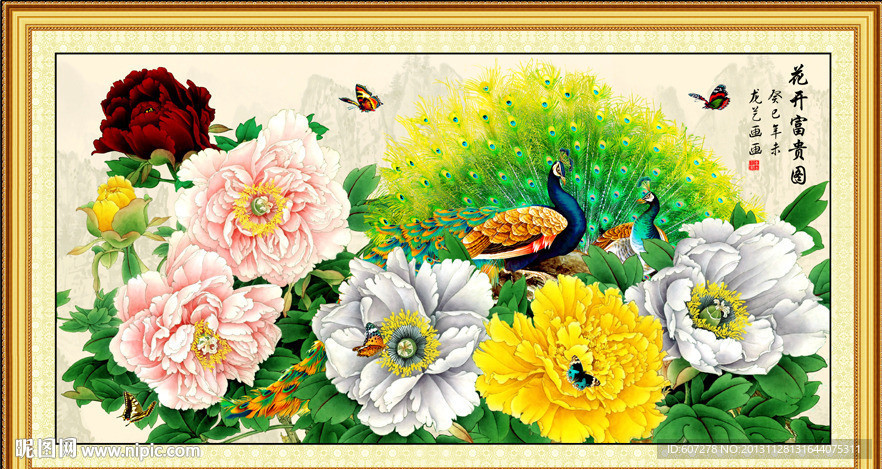 牡丹花