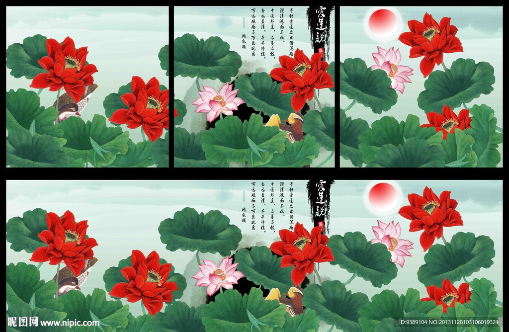荷花