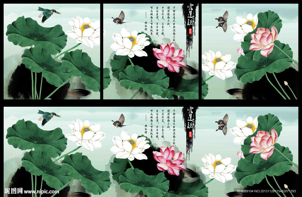 荷花