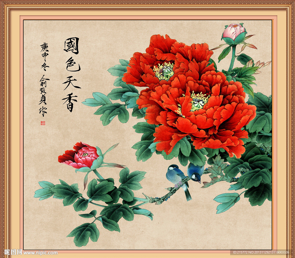 牡丹花