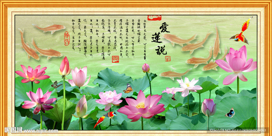 荷花