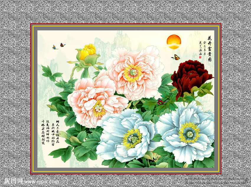 牡丹花