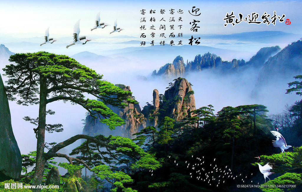 黄山迎客松