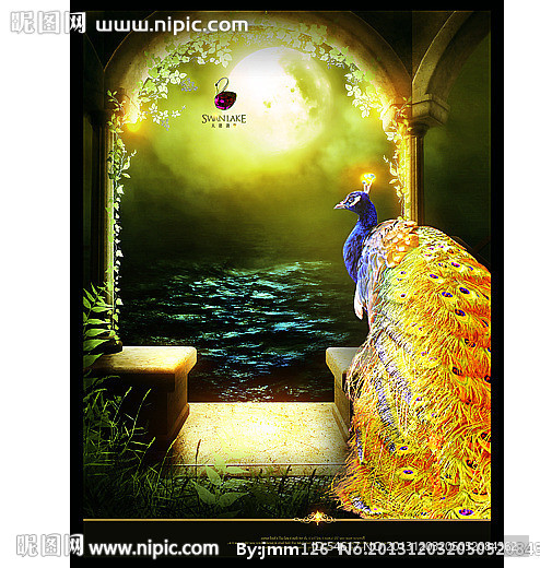 孔雀装饰画