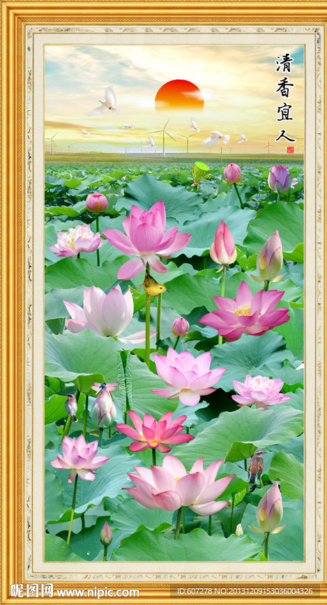 荷花