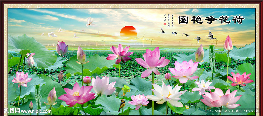 荷花