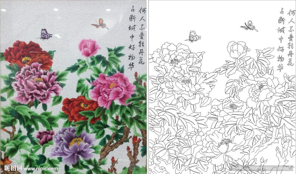 牡丹花 蝴蝶花