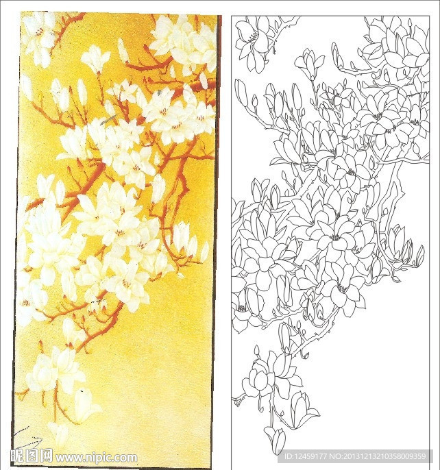 玉兰花