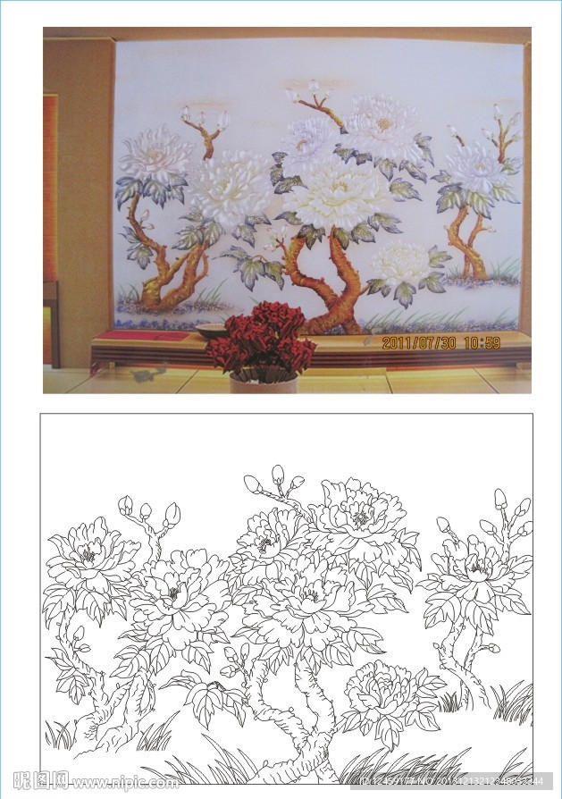 牡丹花