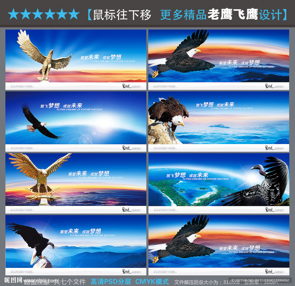 老鹰