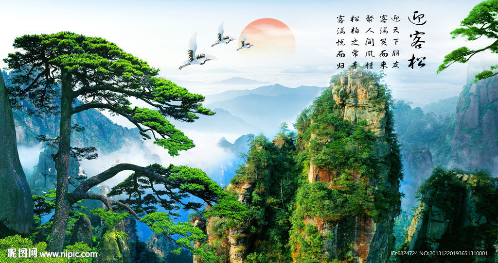 黄山迎客松