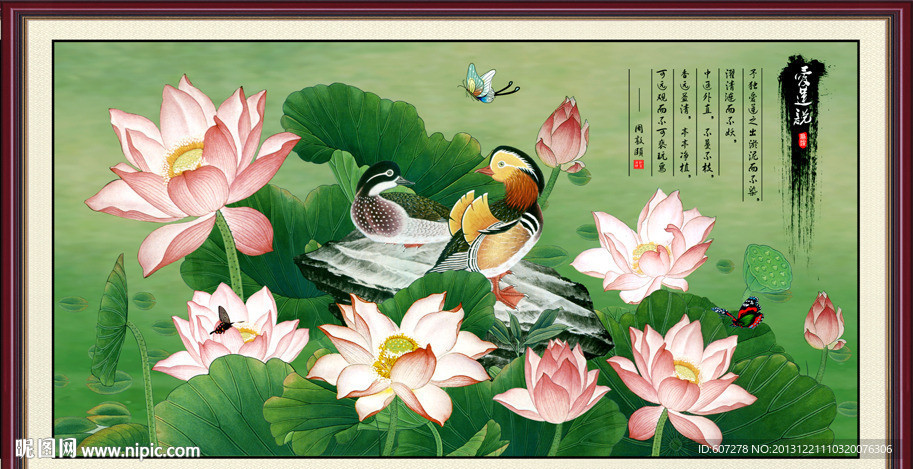 荷花