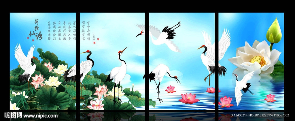 荷花