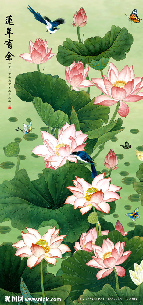 荷花