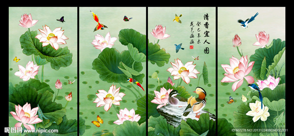 荷花