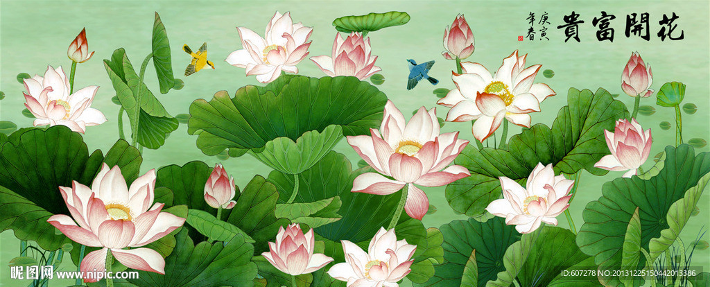 荷花