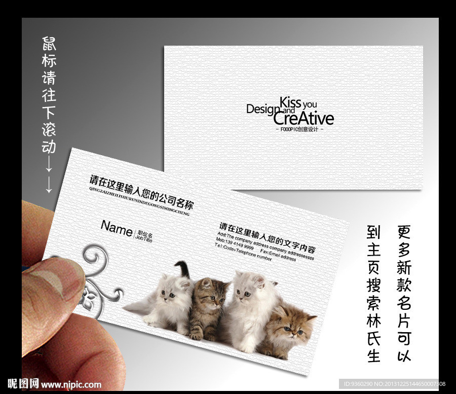 宠物店名片