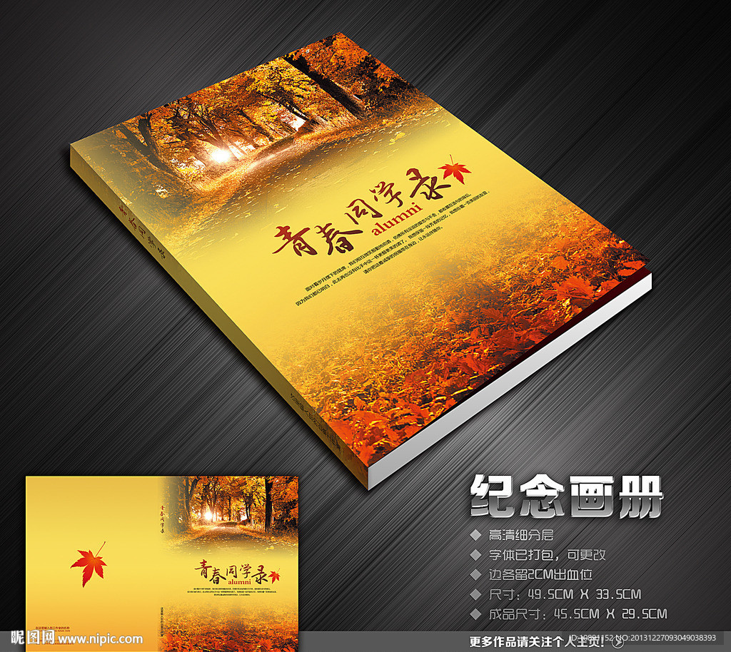 青春毕业纪念册封面
