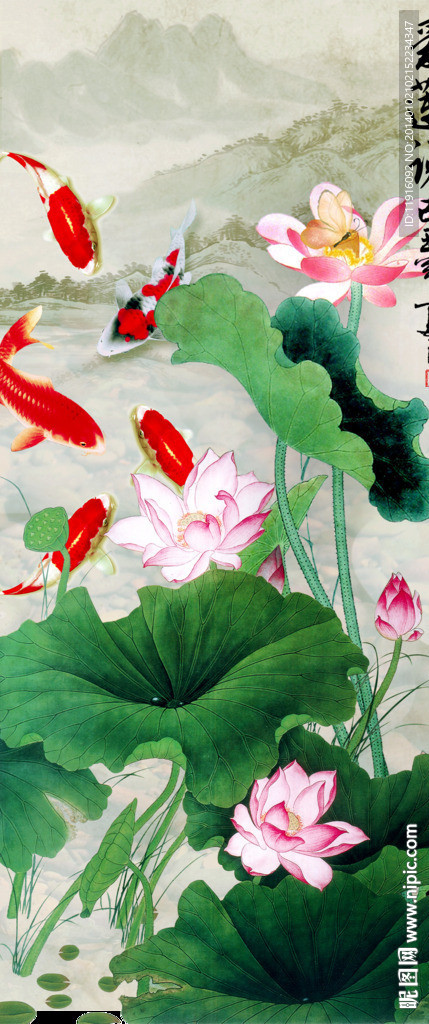 荷花