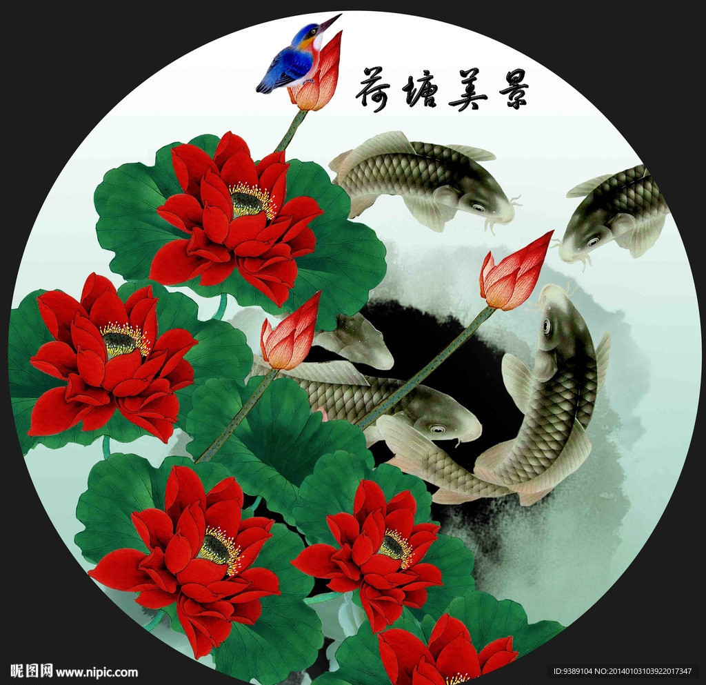 荷花