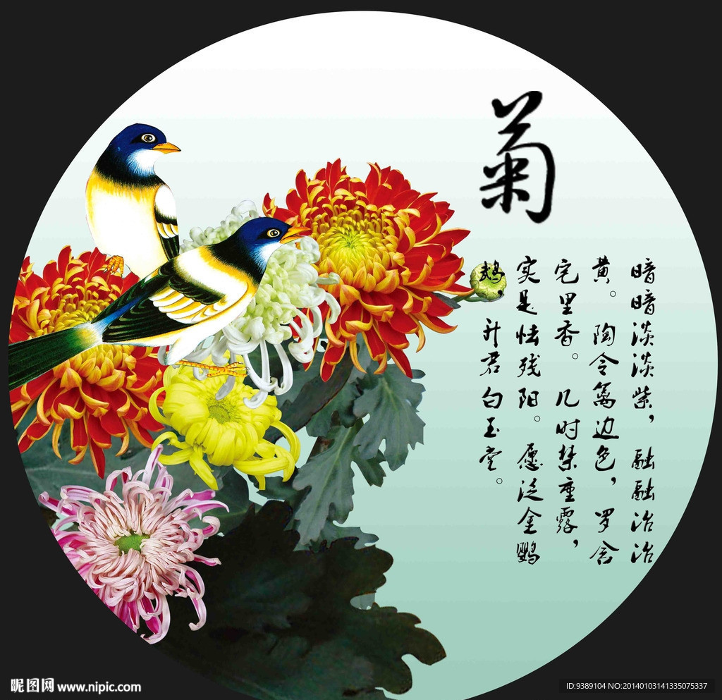 菊花