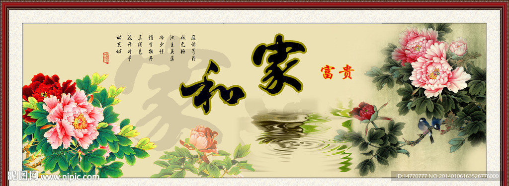 牡丹图片