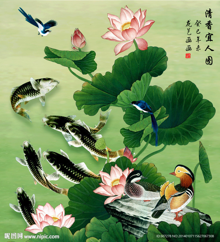 荷花