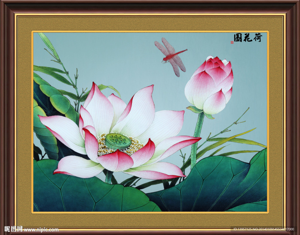 荷花