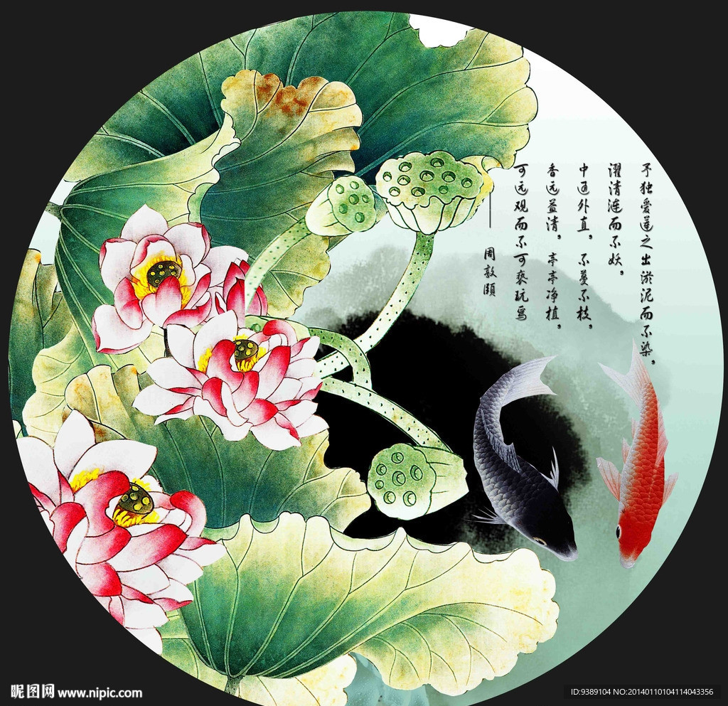 荷花