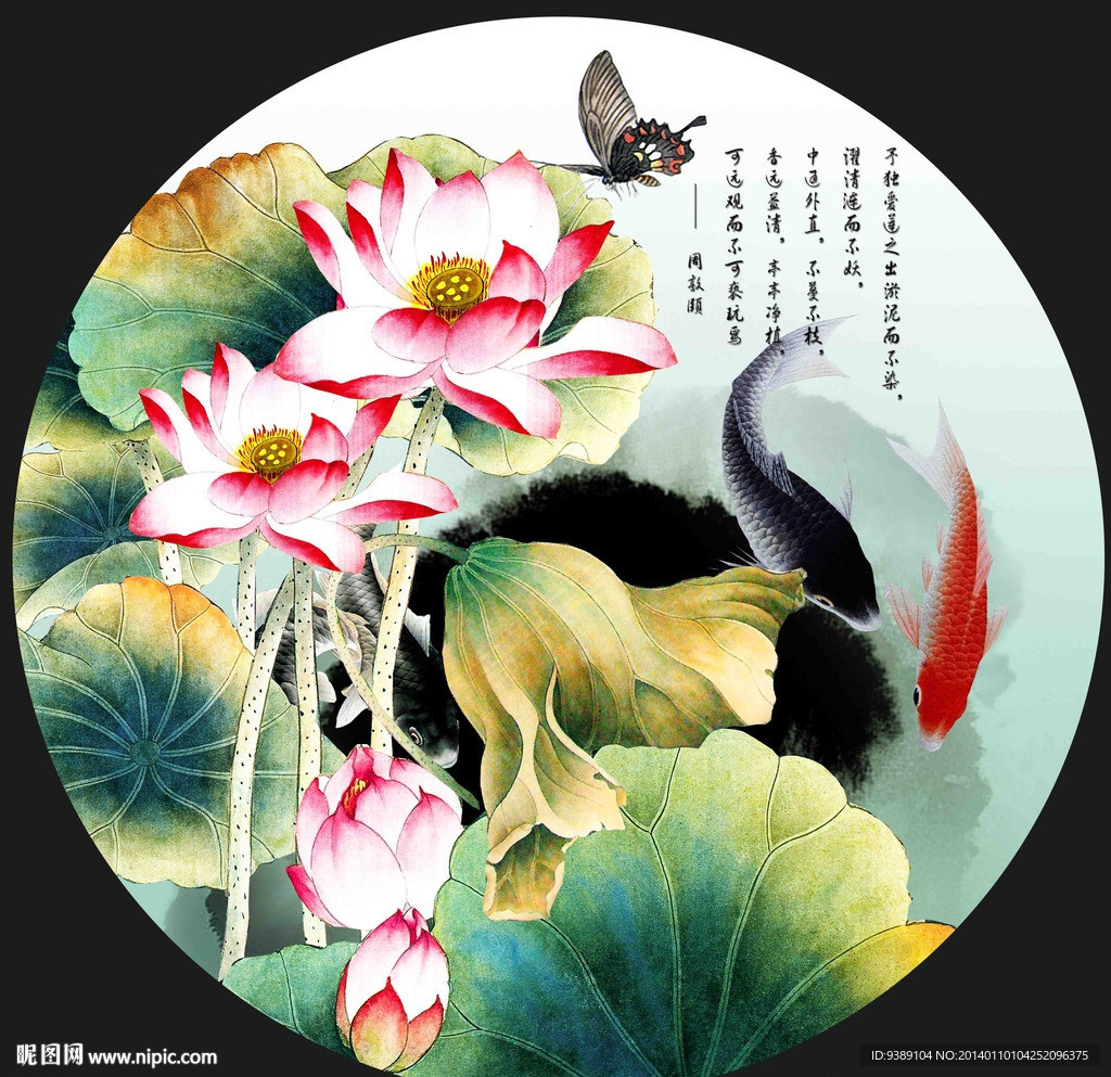 荷花