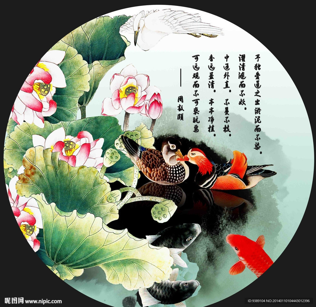 荷花