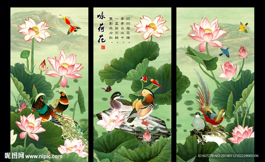 荷花