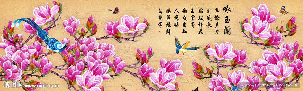 玉兰花