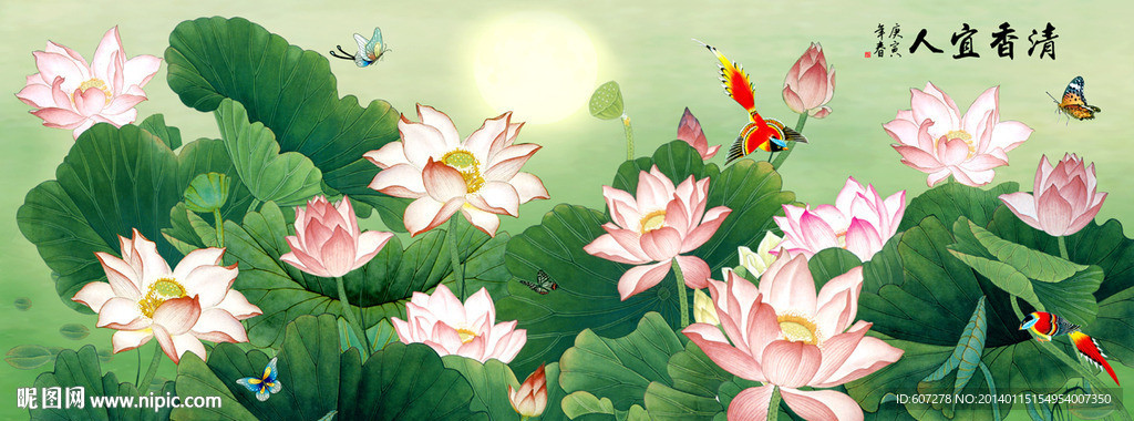 荷花