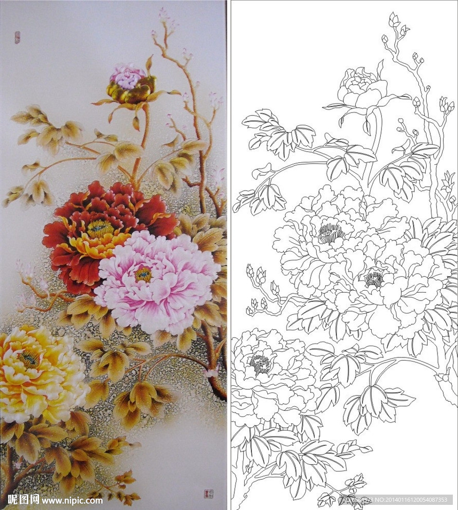 牡丹花