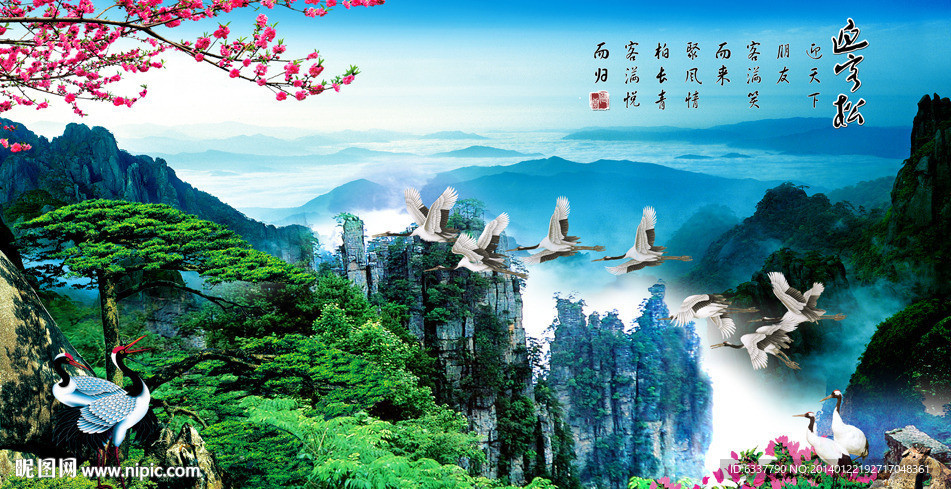 黄山迎客松