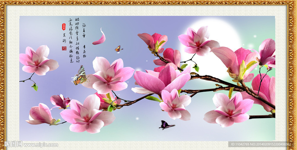 玉兰花