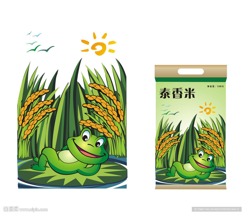 青青蛙 水稻 鄱阳湖
