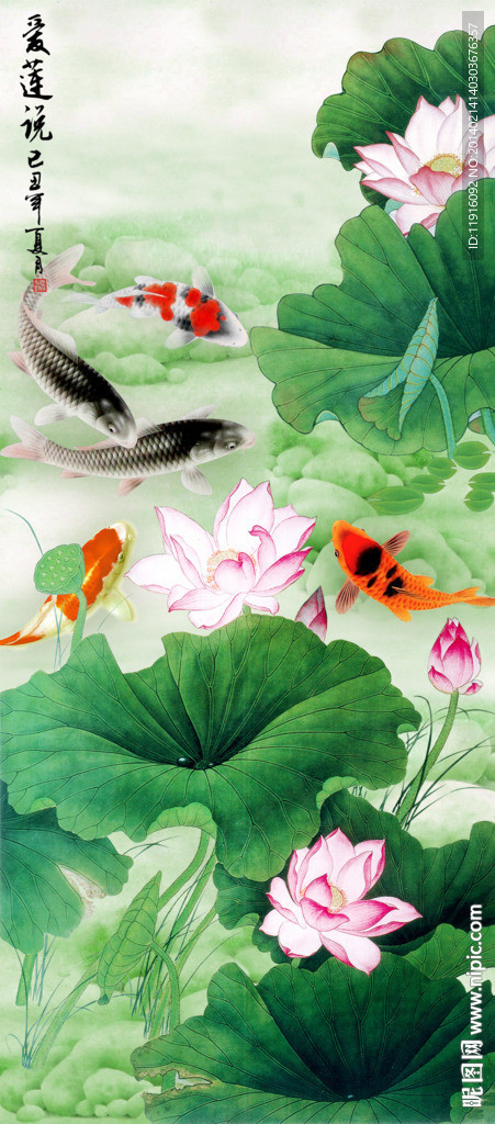荷花
