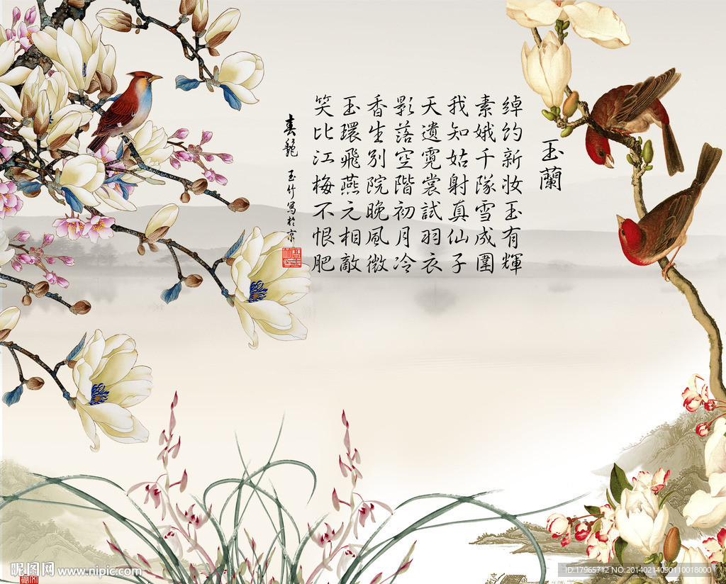 玉兰花