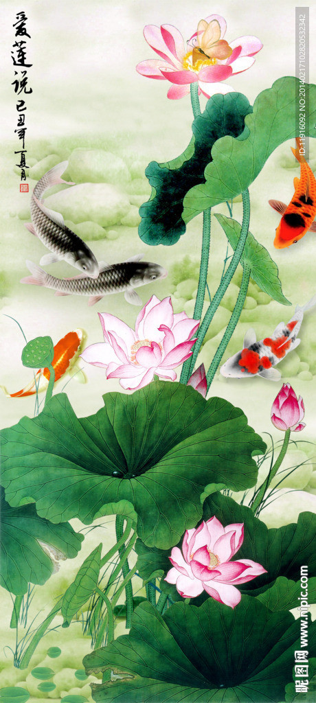 荷花