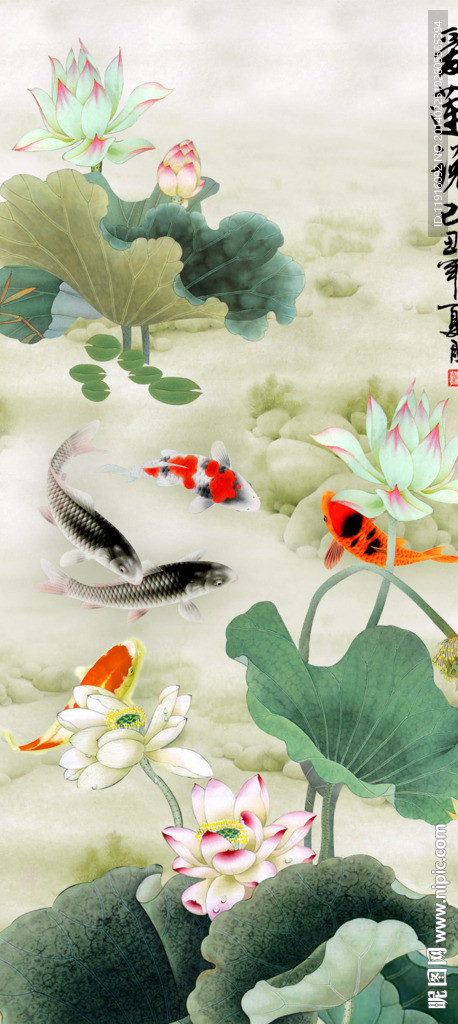 荷花