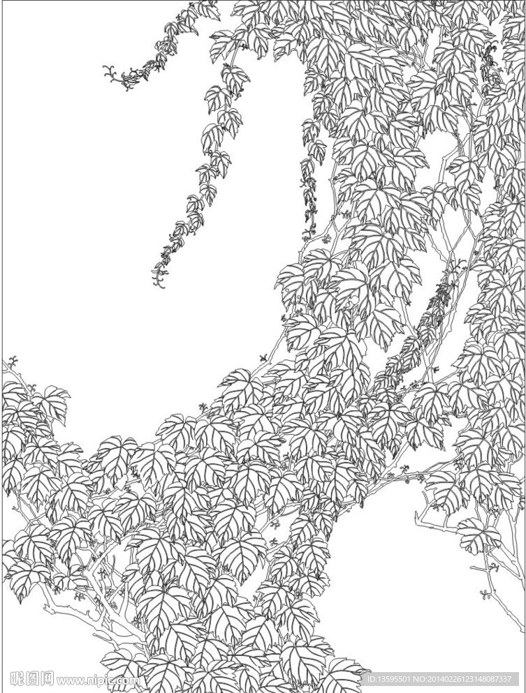 树叶