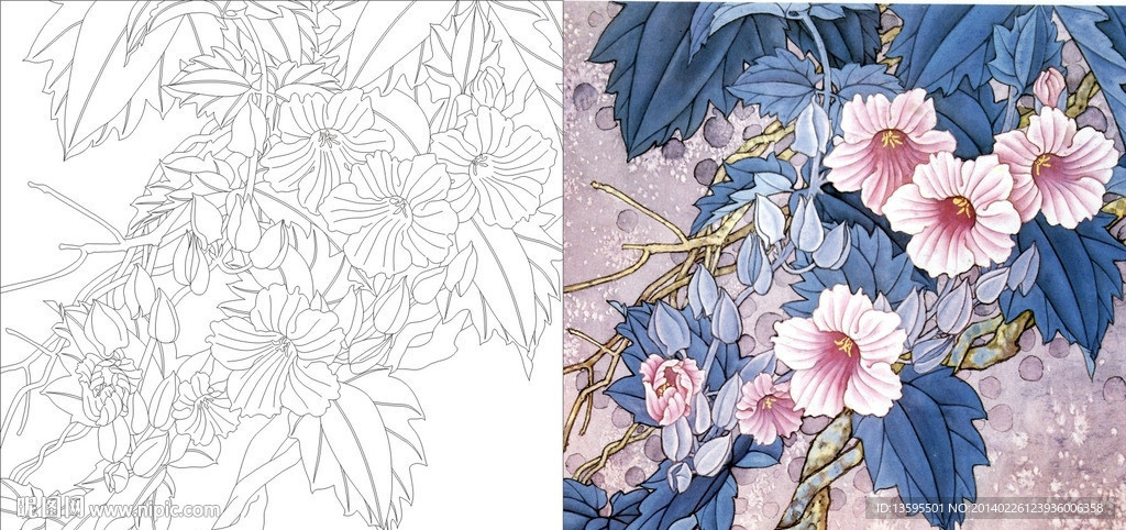 牵牛花