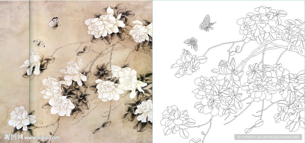 牡丹