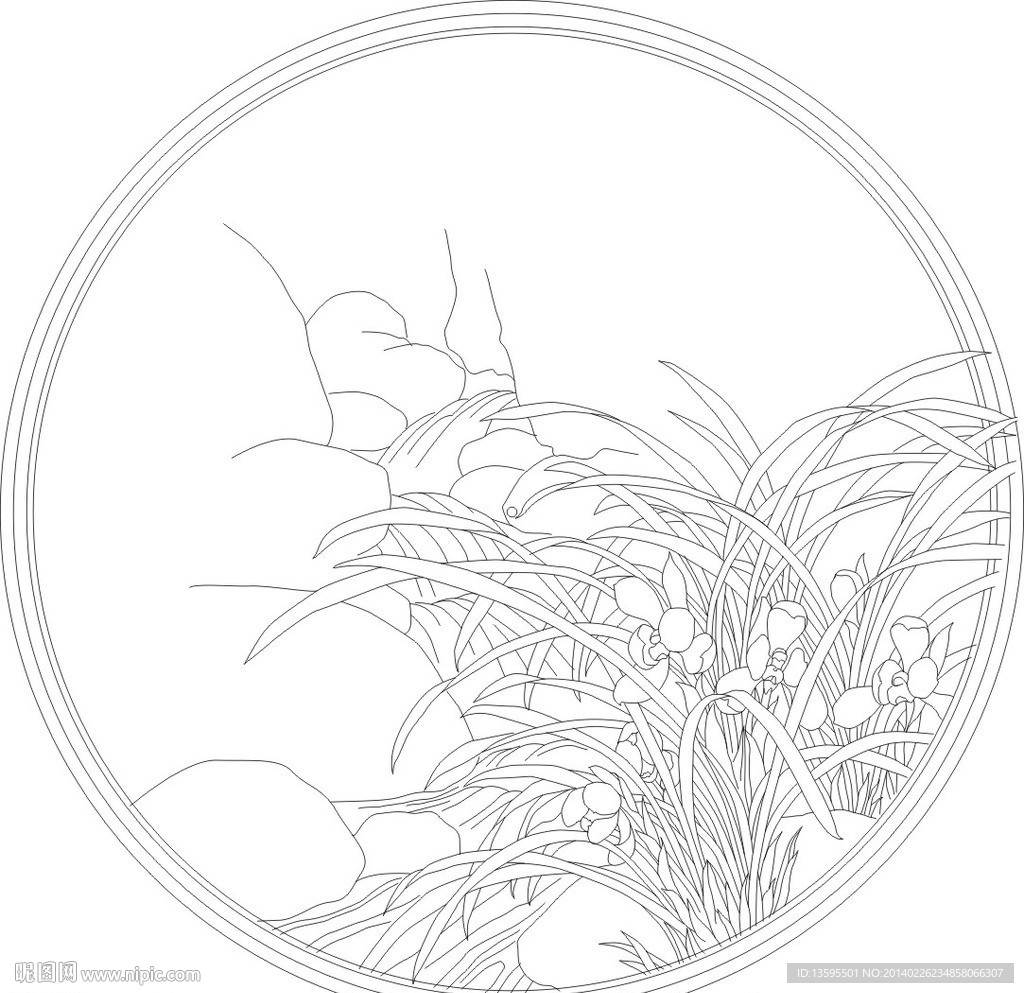 兰花