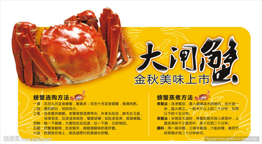 大闸蟹 螃蟹