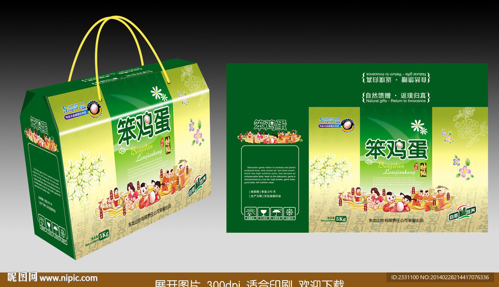 鸡蛋箱（展开图）