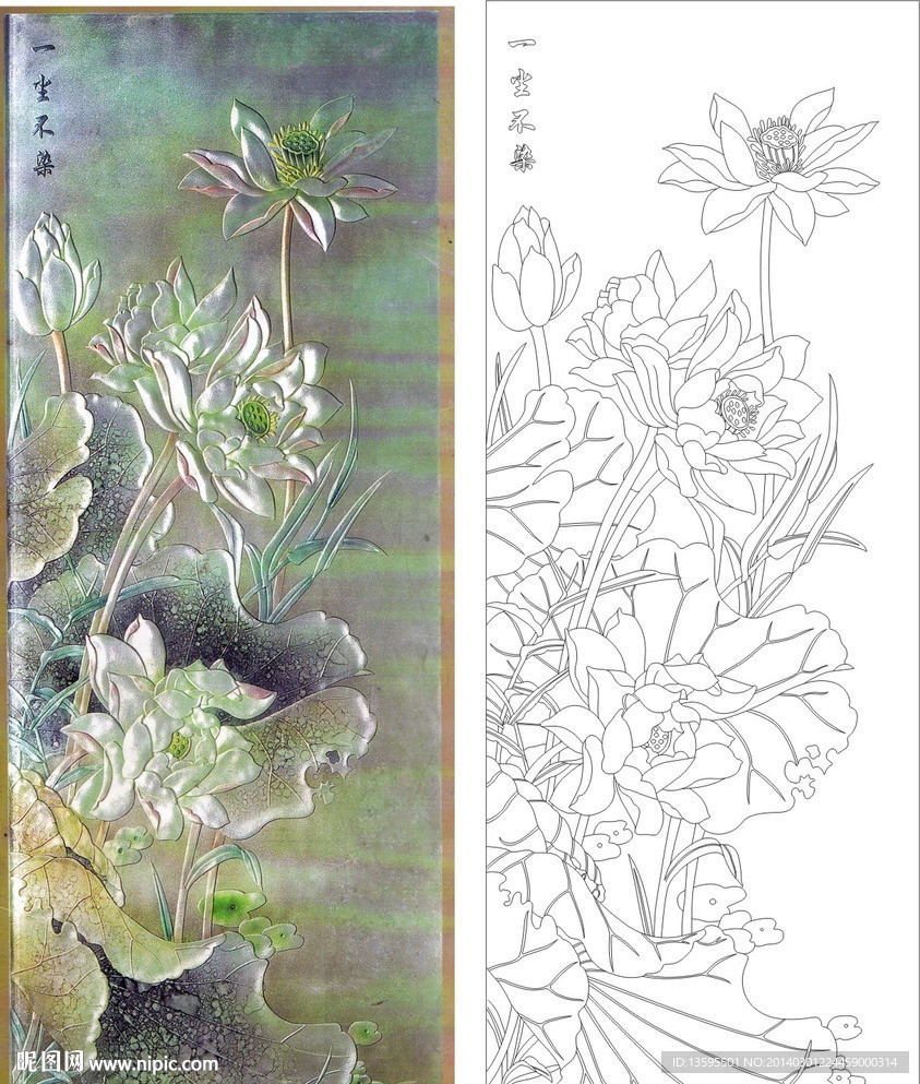 荷花