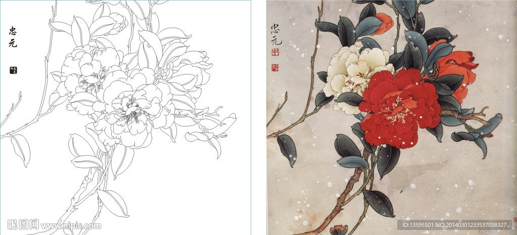 茶花